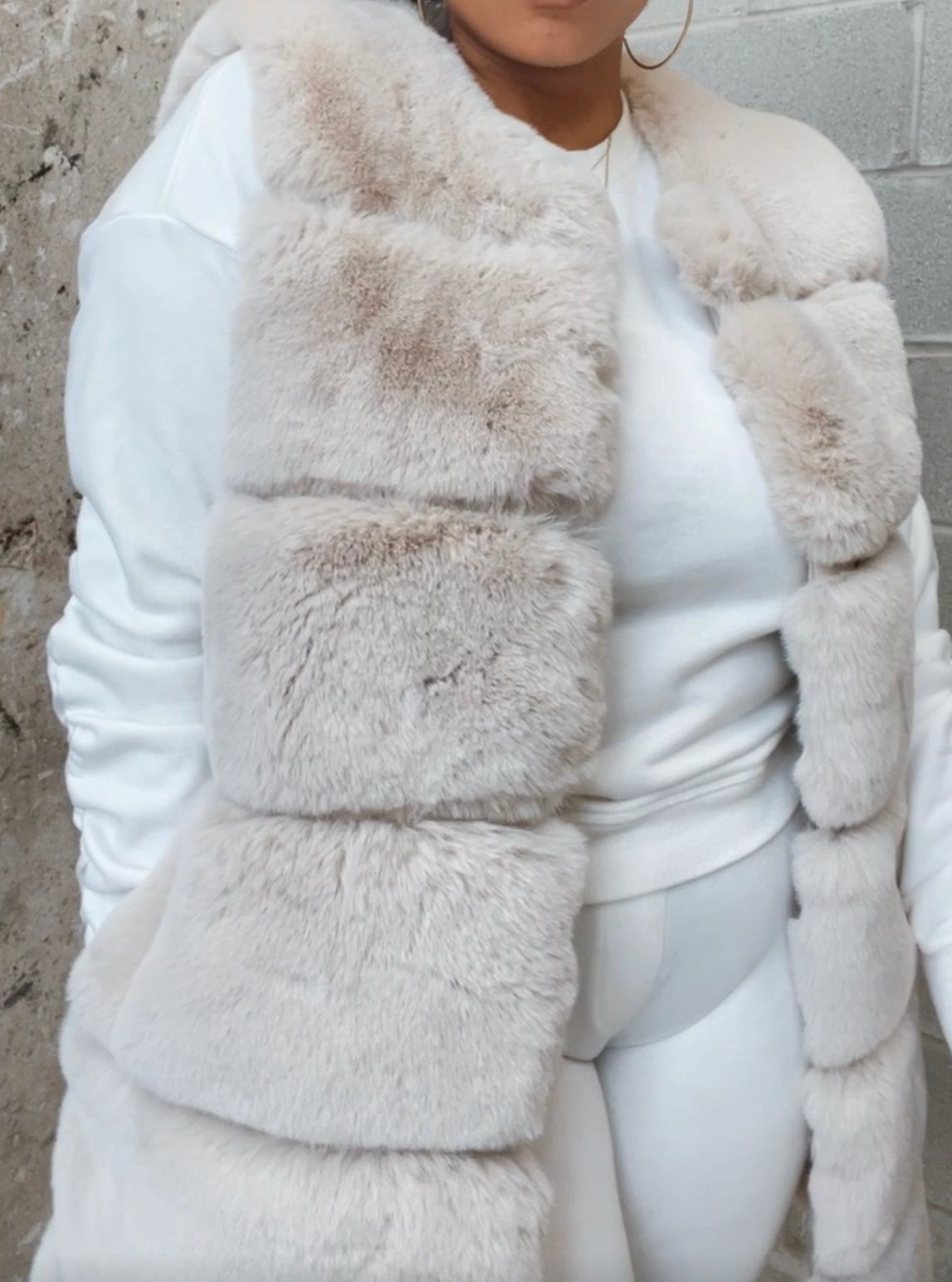 Faux Fur Vest